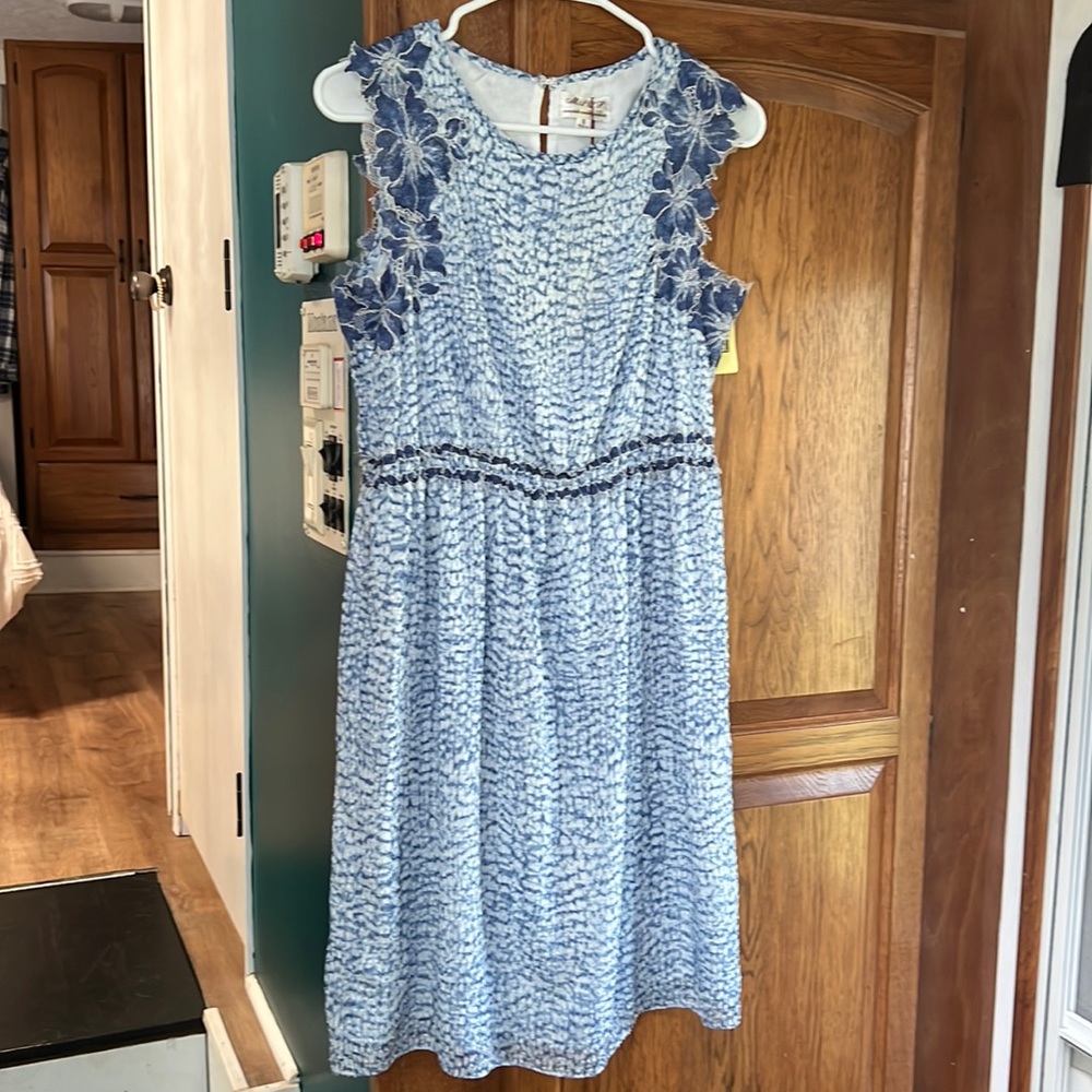 Lace tipped sleeveless Dress